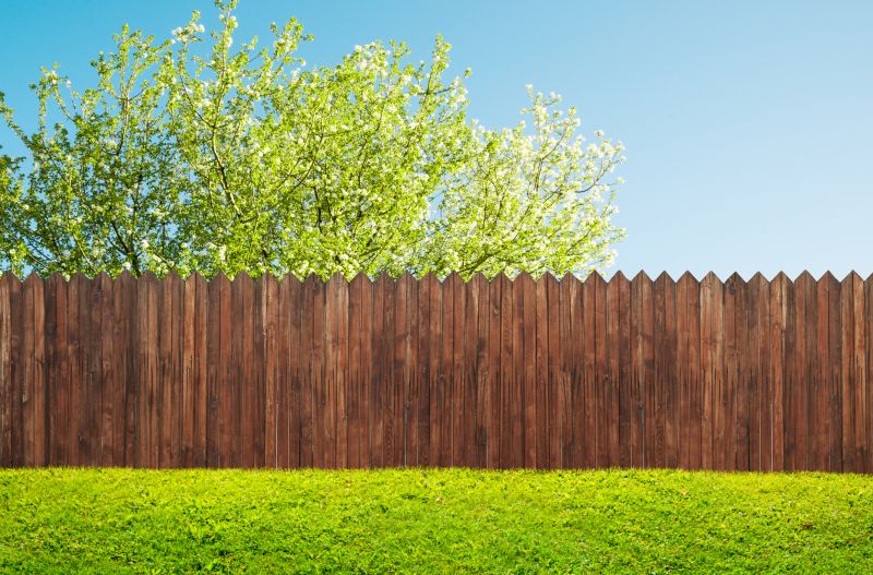 Summer Fence Projects
